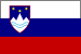Flagge 40 x 60 cm SLOWENIEN